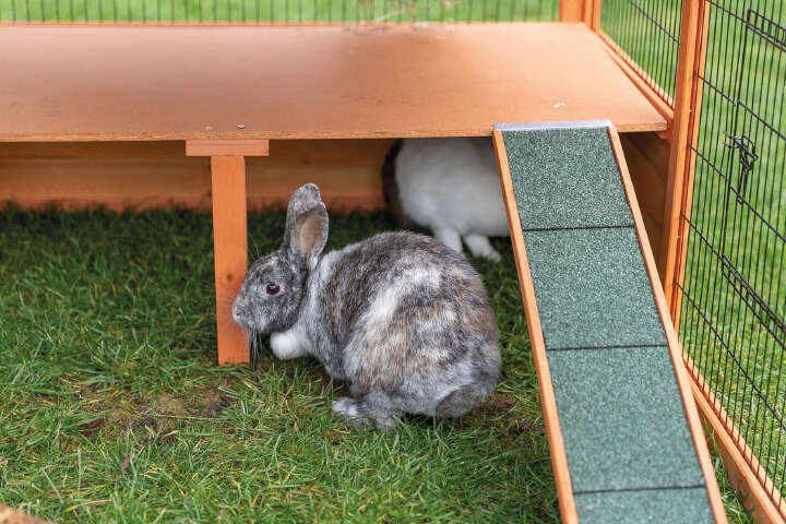 TRIXIE Freilaufgehege XL mit Abdeckung